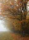 Hazy autumnal fall landscape - Royalty Free Stock Photo