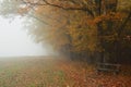 Hazy autumnal fall landscape - Royalty Free Stock Photo