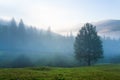 Hazy daybreak in mountain valley