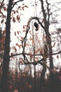 A hazy dreamcatcher is hanging in a winter forest in mystical dark light mood
