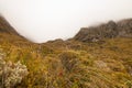 Hazy landscape with native alpine vegetation and grassland, Routeburn Track South Island New Zealand Royalty Free Stock Photo