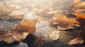 Hazy Leaves: Atmospheric And Moody Landscapes In Octane Render