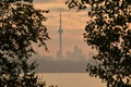 Hazy morning Toronto skyline framed by tree foliage