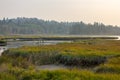 hazy smoky sky over washington wetland marsh