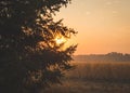 Hazy Sunset in a Farm Land Paradise Royalty Free Stock Photo