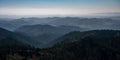 Hazy View of Black Hills in Custer State Park