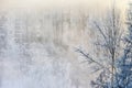 Hazy winter morning Royalty Free Stock Photo