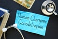 HCG Human Chorionic Gonadotrophin is shown on the conceptual medical photo