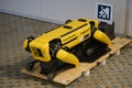 HCMC, Vietnam - Jul 2022: Robot Dog Boston Dynamics Royalty Free Stock Photo