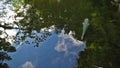 HD 1080p movie of large colorful Koi fish swimming in a pond with water reflection in garden 1920x1080