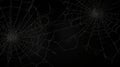 Hd Trapdoor Webs On Black Background - Pseudo-realistic Spider Web Design Royalty Free Stock Photo