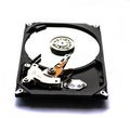 HDD disk on white background Royalty Free Stock Photo