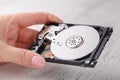 Hdd drives in hands Royalty Free Stock Photo