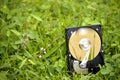 HDD silicon on grass. Royalty Free Stock Photo