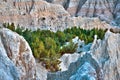 HDR Badlands Forest Royalty Free Stock Photo