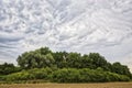 HDR landscape with arable land Royalty Free Stock Photo