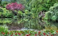 HDR landscape of a forest and pond Royalty Free Stock Photo