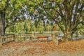 HDR Photo empty bench in Stromovka park in autumn, Prague Royalty Free Stock Photo