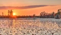 Dusk sunset over Grand Prairie, Okefenokee Swamp National Wildlife Refuge, Georgia Royalty Free Stock Photo