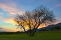 HDR sunset with tree in Magaliesburg area 7 Royalty Free Stock Photo