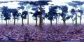 HDRI map, spherical environment panorama background, misty forest light source rendering 3d equirectangular render Royalty Free Stock Photo