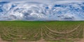 360 hdri panorama on green grass farming field with clouds on overcast sky before sunset in equirectangular spherical seamless Royalty Free Stock Photo