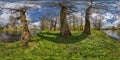 360 hdri panorama view on pedestrian walking path among poplar grove with clumsy branches near lake in full seamless spherical .