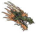 Head aggressive dragon logotype colorful