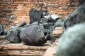 The head of the ancient Buddha piled up with the remains of the Buddha that has decayed over the past 500 years old Royalty Free Stock Photo