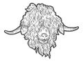Head Angora goat. Engraving raster illustration. Sketch scratch board imitation.