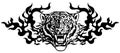 Head of Angry tiger in tongues of flame black white Royalty Free Stock Photo