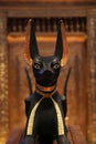 Head of Anubis statue from Tutankhamun treasure, original crafted from wood and gold