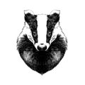 Head badger