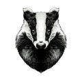 Head badger