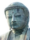 Head of a biggest outdoor Buddha statute Royalty Free Stock Photo