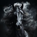 Head of a black horse with a flowing mane, portrait, close-up on black, Royalty Free Stock Photo