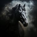 Head of a black horse with a flowing mane, portrait, close-up on black, Royalty Free Stock Photo