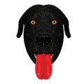 The head of a black labrador dog with yellow eyes and a protruding red tongue.