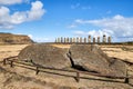 Head and body of a fallen moai at Ahu Tongariki, Easter island,