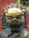 Head of a bronze gilded sculpture of a guardian lion at the entrance to the building, Forbidden City, Beijing