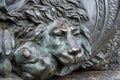 Head of a bronze lion. bronze sculpture of a sleeping lion on the monument of glory in Poltava, Ukraine