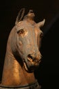 Head of a bronze statue of a horse Royalty Free Stock Photo