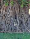 The head of the Buddha statue