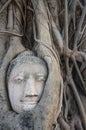 Head of buddha statue in the roots of tree at Ayutthaya, Thailand