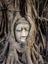 Head of Buddha Statue in the Tree Roots, Ayutthaya, Thailand Royalty Free Stock Photo