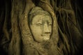 Head of Buddha statue in the tree roots, famous tourism spot of