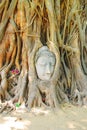 Head of Buddha statue in the tree roots at Wat Mahathat, Ayutthaya, Thailand. Royalty Free Stock Photo