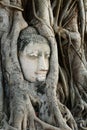 Head of Buddha Statue with the Tree Roots at Wat Mahathat, historic site of Ayutthaya province, Thailand. Royalty Free Stock Photo