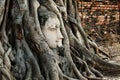 Head of Buddha Statue with the Tree Roots at Wat Mahathat, historic site of Ayutthaya province, Thailand. Royalty Free Stock Photo