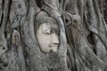 Head of sandstone buddha in the tree roots at wat mahathat temple, Ayutthaya Historical Park, Thailand Royalty Free Stock Photo